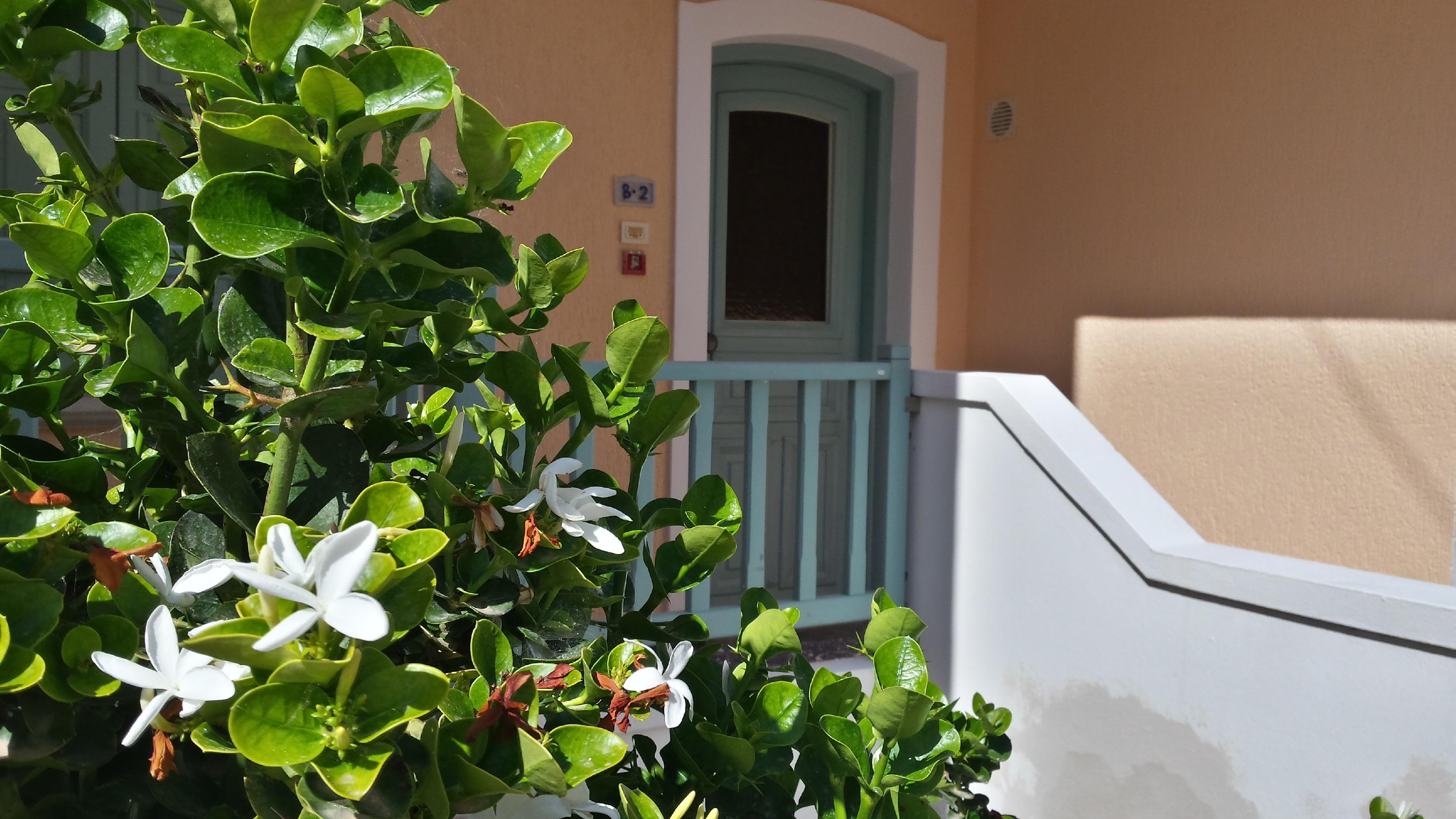 Amazones Village Suites Hersonissos  Exteriör bild