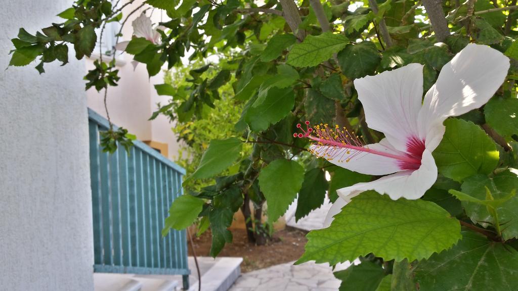 Amazones Village Suites Hersonissos  Exteriör bild